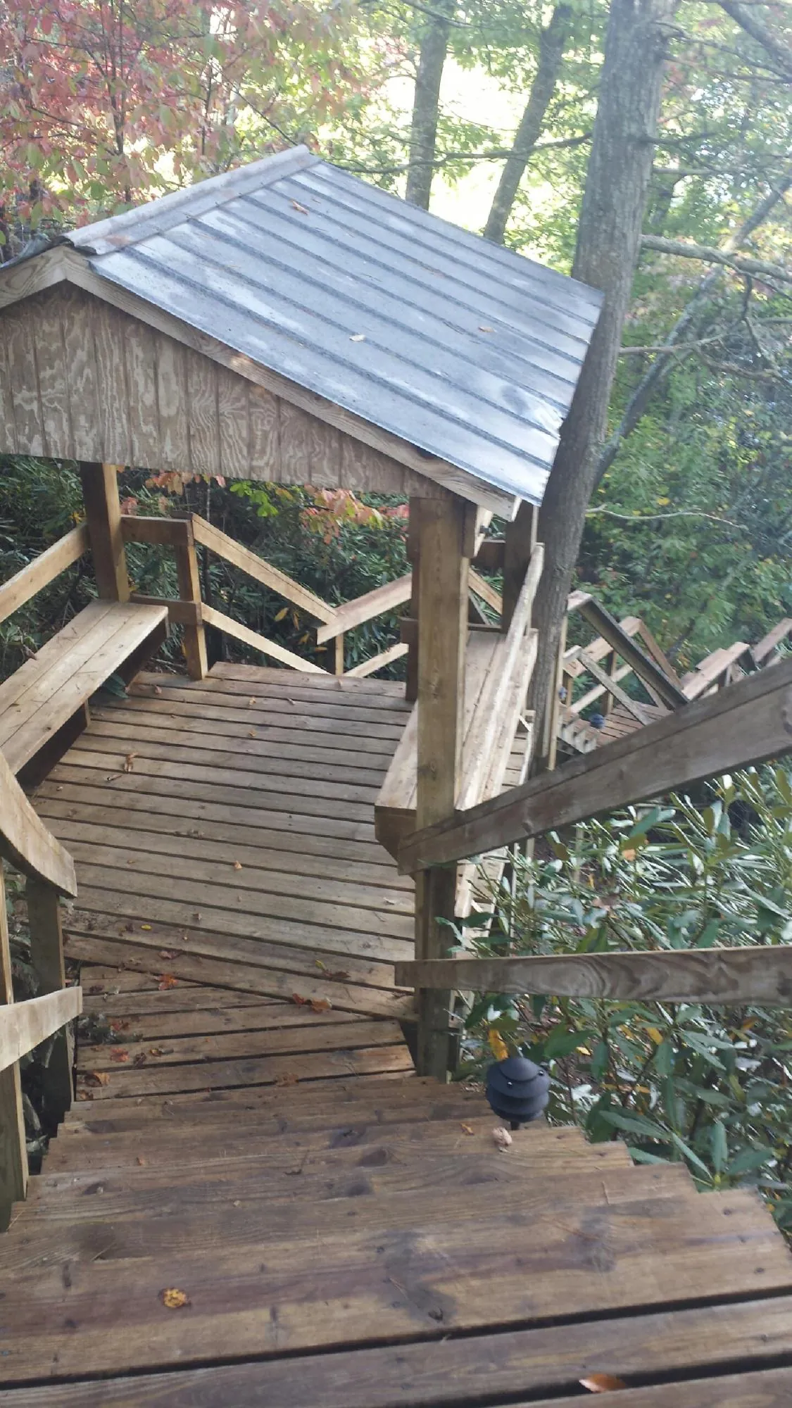 Metal roofed shelter over wooden steps on a wooded walkway — Skylight Repair & Installation work by our crew in Riverview